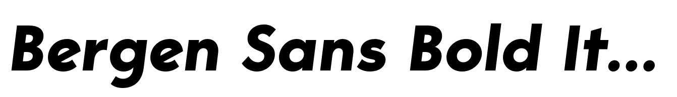 Bergen Sans Bold Italic